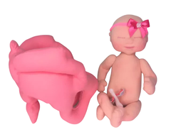 MINI pelve + Feto de 30 cm (OU separados) - comprar online