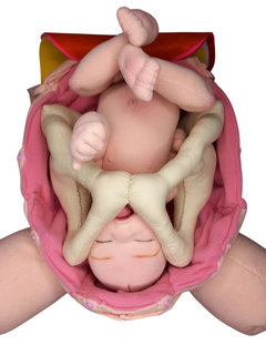 Kit 10 fisiologia do parto (bebê RN) - LIKA