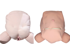 Kit 9 Fisiologia do parto (bebê RN)