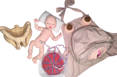 Kit 7 fisiologia do parto (bebê RN)