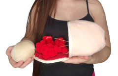 Imagem do Mama GRANDE com anatomia + músculo para inserir prótese+ prótese de tecido