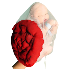 Bebê RN + Placenta na internet