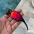 penny-ruby-vermelho-carbon-preto-dark ruby