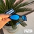 penny-congelado-ice thug-azul bb-carbon-preto