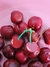 Brinco Fancy Cherry na internet
