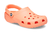 Classic Clog Papaya Laranja - Crocs - Prilipe Papelaria
