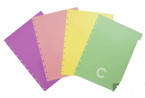 DIVISÓRIAS PASTEL G - CADERNO INTELIGENTE