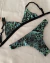 020101 Bikini en internet