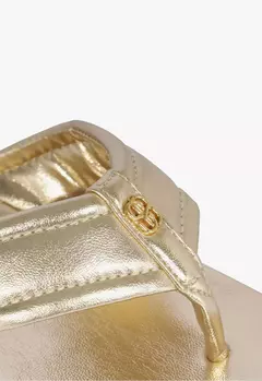 Imagem do Chinelo Plataforma Dourado
