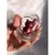 SOMBRA CREMOSA BEAR - comprar online