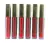 LIP GLOSS MATTE FASHION