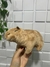 Pelúcia Mini Capivara