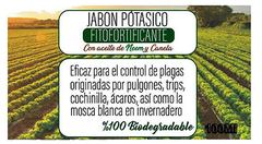Jabón Potásico Con Neem 100c Belgrano Caba Envíos en CABA y a todo el Pais en internet