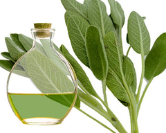 Hidrolato De Salvia 500ml Puro Para Retirar En Belgrano CABA Envios a Todo el Pais - comprar online