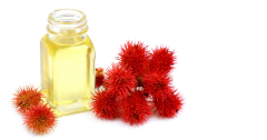 Aceite Puro De Ricino 125ml Materia Prima Pura En Belgrano en CABA envíos a todo el país - comprar online
