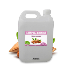 Shampoo Almedras Coco Y Acido Hialuronico 5lts Caba Belgrano