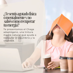 Hongo Adaptógeno Chaga 60cc Tintura Natural | Energía y Defensas - comprar online