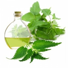 ceite Esencial De Ortiga De 15ml Materia Prima Caba - comprar online