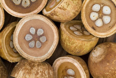 Aceite Puro De Babasú 50ml En Caba Belgrano Envios T/pais - comprar online