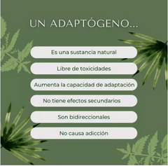 Hongo Adaptogeno Maitake 60ml Caba Belgrano Envios T/pais (CONSULTAR STOCK) - comprar online