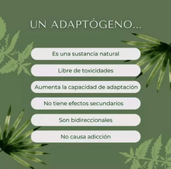 Rescate De Bach 60 Ml Rescue Remedy En Caba Belgrano Envios (CONSULTAR STOCK) - comprar online