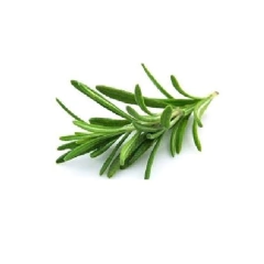 Aceite Esencial De Romero Puro Natural Envase 15ml Belgrano CABA envios a todo el pais - Saiku
