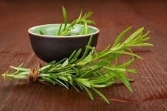 Aceite Vegetal De Romero 15cc Caba Belgrano Envios A T/pais en internet