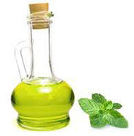 Aceite Esencial De Menta Importada 15ml Belgrano CABA Envios a Todo el Pais - Saiku