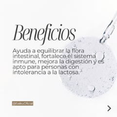 Kéfir Natural 1L – Sin Lactosa, Sin Gluten, 100% Artesanal - Saiku