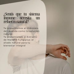 Hongo Adaptógeno Maitake Fungiplus 60 cc Doble Extracto Sin Alcohol - comprar online