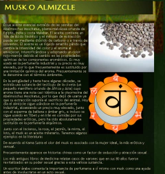 Aceite Esencial De Almizcle 15ml - Saiku