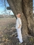Cargo Pants - Blanco en internet