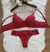 Imagem do Conjunto Lingerie Sutiã Com bojo e Calcinha fio duplo Rendado Vermelho e Nude