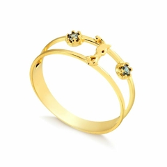 Anel de Formatura ANF52 em Ouro