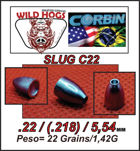 Chumbo Slug Côncavo C22 .22/5,54mm (.218) 22 Grains/ 1,42g 250 Unid - comprar online