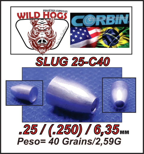 Chumbo Slug 25-c48 .25/6,35mm (.250) 40 Grains/ 2,58g 200 Unid