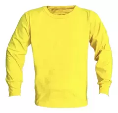 Remeras algodón peinado 24/1 MANGA LARGA niño en internet