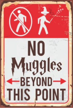 Chapa Harry Potter en internet