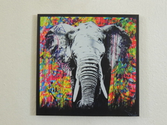 Bastidor Elefante Modern