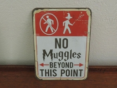 Chapa Harry Potter
