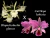 Cattleya labiata x Rhyncholaelia dygbiana
