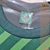 Camisa Palmeiras Screen Verde na internet