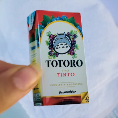 Vino TOTORO en internet