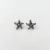 Imagem do Brinco Estrela do Mar Envelhecida - Prata 925