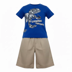 Conjunto Dinossauro infantil Menino - comprar online