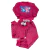 Conjunto Fleece infantil Menina