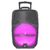 NGL-460BT // PARLANTE PORTABLE INALÁMBRICO BT CON LEDS - comprar online