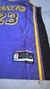 [Camiseta Importada] Angeles LAKERS LEBRON JAMES Violeta 2024 (23) - tienda online