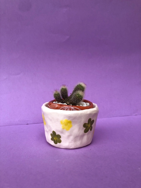 vaso florzinhas