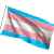 Bandeira Transgênero